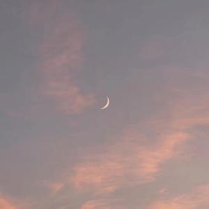 陪读妈妈王梅全篇阅读
