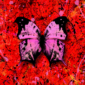 陪读妈妈王梅全篇阅读
