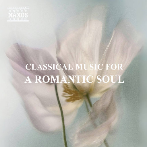 陪读妈妈王梅全篇阅读
